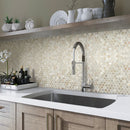 Shell White 12x12 Polished Penny Round Shell Mother of Pearl Mosaic Tile (20 pack, 18.69 sq ft/case)