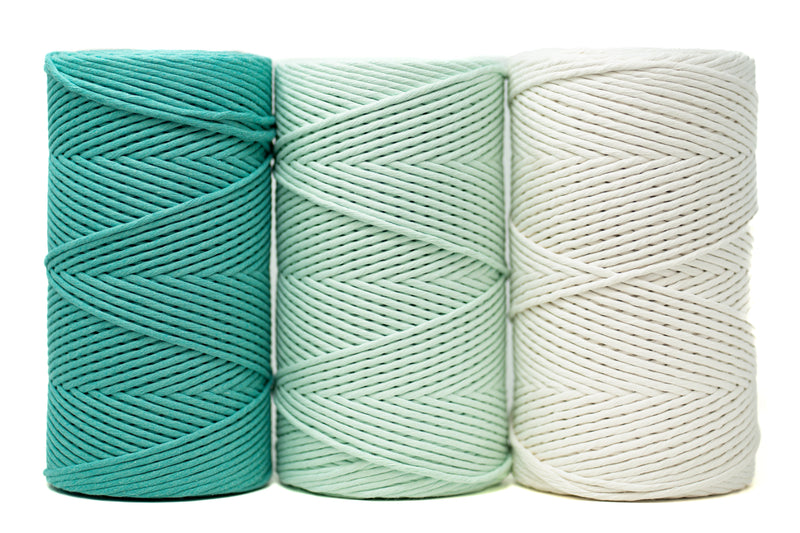 CELEBRATION BUNDLES - CARIBBEAN SEA, MINT & IVORY