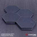 STARSHIP HEXAGON THERMAL PROTECTION SYSTEM TILE ASTROCOASTER by Concord Aerospace