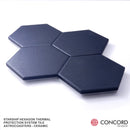 STARSHIP HEXAGON THERMAL PROTECTION SYSTEM TILE ASTROCOASTER by Concord Aerospace