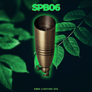 SPB06 Cast Brass 12V Low Voltage LED Outdoor Landscape Spotlight