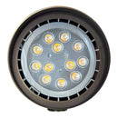 SPB07 Brass PAR36 Outdoor Flood Light 12V Low Voltage LED Landscape Lighting