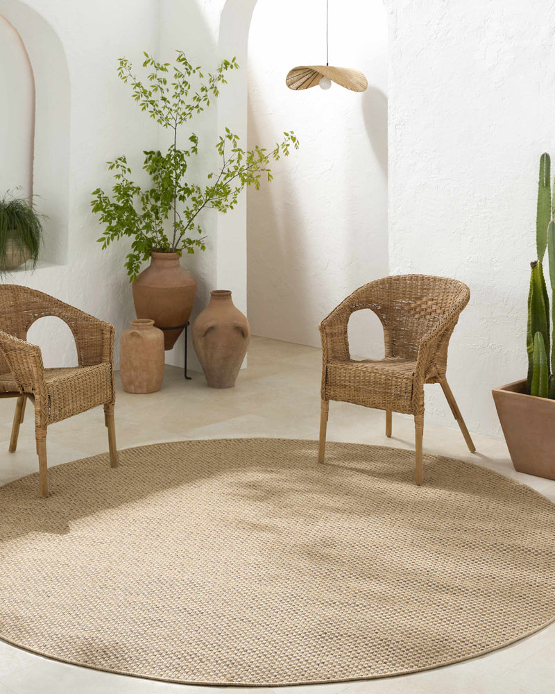 Zeta Flatweave Faux Jute Rug
