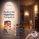 USA American Flag with Brussels Griffon Ceramic Night Light Compact, UL-Certified, Ideal for Bedroom, Bathroom, Nursery, Hallway, Kitchen, 6x4x3, Multicolor