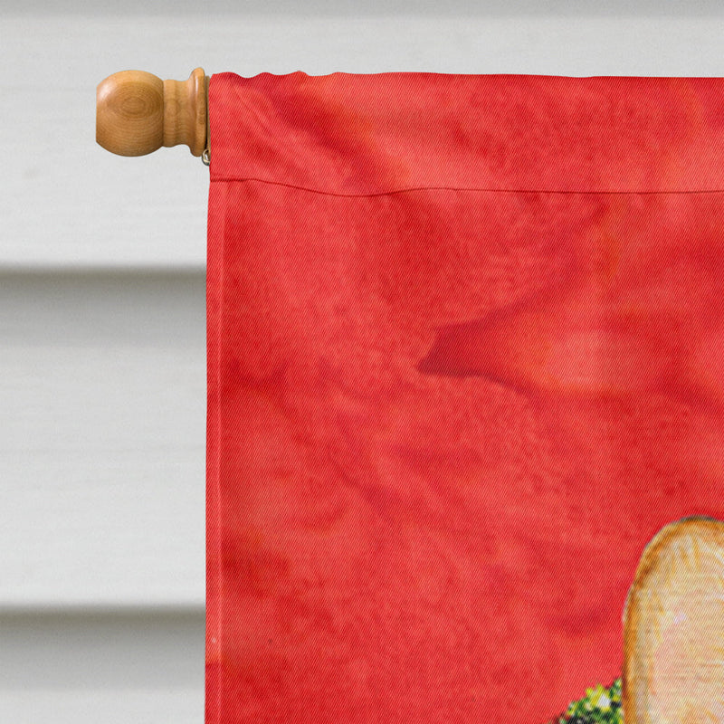 Corgi Flag Canvas House Size