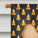 Corgi Candy Corn Halloween Portrait House Flag 28x40 Porch Sleeve Pole Decorative Outside Yard Banner Artwork Wall Hanging, Polyester
