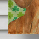 Dachshund St. Patrick's Day Shamrock Portrait House Flag 28x40 Porch Sleeve Pole Decorative Outside Yard Banner Artwork Wall Hanging, Polyester