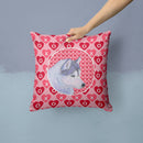 Siberian Husky Hearts Love Valentine's Day Throw Pillow - 14x14 Decorative Pillow – Art for Your Home & Patio SS4464PW1414