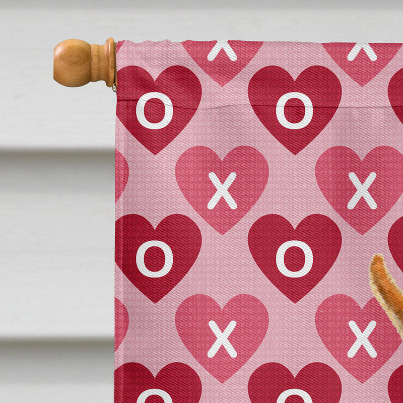 Min Pin Hearts Love and Valentine's Day Portrait Flag Canvas House Size