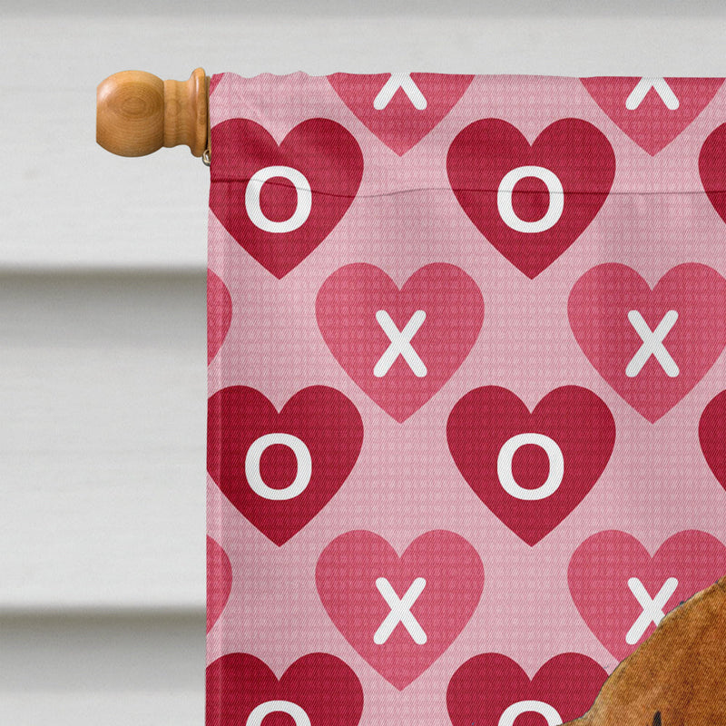 Dachshund Hearts Love Valentine's Day Flag Canvas House Size