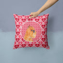 Brussels Griffon Hearts Love and Valentine's Day Portrait Throw Pillow - 14x14 Decorative Pillow – Art for Your Home & Patio SS4494PW1414