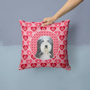 Bearded Collie Hearts Love and Valentine's Day Portrait Throw Pillow - 14x14 Decorative Pillow – Art for Your Home & Patio SS4497PW1414