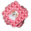 Clumber Spaniel  Coasters - Set of 4 Lightweight Foam, Absorbent Drink Coasters