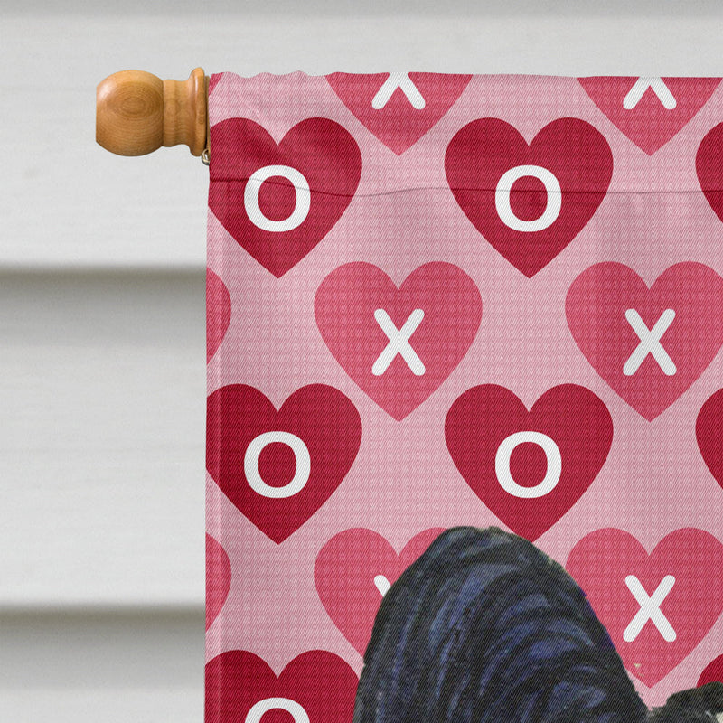 Papillon Hearts Love Valentine's Day Flag Canvas House Size