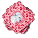 Boxer  Coasters - Set of 4 Lightweight Foam, Absorbent Drink Coasters