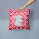 Boxer Hearts Love and Valentine's Day Portrait Throw Pillow - 14x14 Decorative Pillow – Art for Your Home & Patio SS4509PW1414