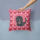 Affenpinscher Hearts Love and Valentine's Day Portrait Throw Pillow - 14x14 Decorative Pillow – Art for Your Home & Patio SS4511PW1414