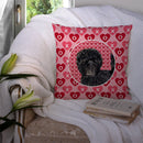 Affenpinscher Hearts Love and Valentine's Day Portrait Throw Pillow - 14x14 Decorative Pillow – Art for Your Home & Patio SS4511PW1414