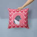 Akita Hearts Love and Valentine's Day Portrait Throw Pillow - 14x14 Decorative Pillow – Art for Your Home & Patio SS4521PW1414