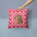 Field Spaniel Hearts Love and Valentine's Day Portrait Throw Pillow - 14x14 Decorative Pillow – Art for Your Home & Patio SS4525PW1414