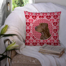 Field Spaniel Hearts Love and Valentine's Day Portrait Throw Pillow - 14x14 Decorative Pillow – Art for Your Home & Patio SS4525PW1414