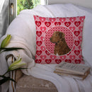 Chesapeake Bay Retriever Hearts Love and Valentine's Day Throw Pillow - 14x14 Decorative Pillow – Art for Your Home & Patio SS4531PW1414