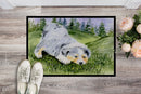 Australian Shepherd Doormat Indoor Outdoor 24H X 36W Front Door Mat Rugs for Entryway, Non Slip Washable Low Pile,