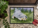 Australian Shepherd Doormat Indoor Outdoor 24H X 36W Front Door Mat Rugs for Entryway, Non Slip Washable Low Pile,