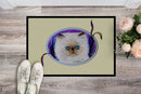 Cat Doormat Indoor Outdoor 24H X 36W Front Door Mat Rugs for Entryway, Non Slip Washable Low Pile,