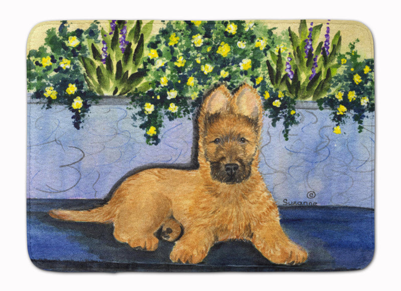 Briard Machine Washable Memory Foam Mat SS8180RUG