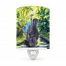 Afghan Hound Ceramic Night Light Compact, UL-Certified, Ideal for Bedroom, Bathroom, Nursery, Hallway, Kitchen, 6x4x3, Multicolor