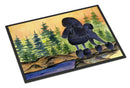Poodle Doormat Indoor Outdoor 18H X 27W Front Door Mat Rugs for Entryway, Non Slip Washable