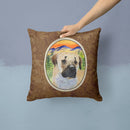Anatolian Shepherd Throw Pillow - 14x14 Decorative Pillow – Art for Your Home & Patio