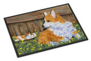 Corgi Doormat Indoor Outdoor 18H X 27W Front Door Mat Rugs for Entryway, Non Slip Washable