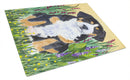 Greater Swiss Mountain Dog Cutting Board Tempered Glass Kitchen Cutting Surface, Heat Resistant Chopping, Non-Slip Feet, Food Prep & Serving