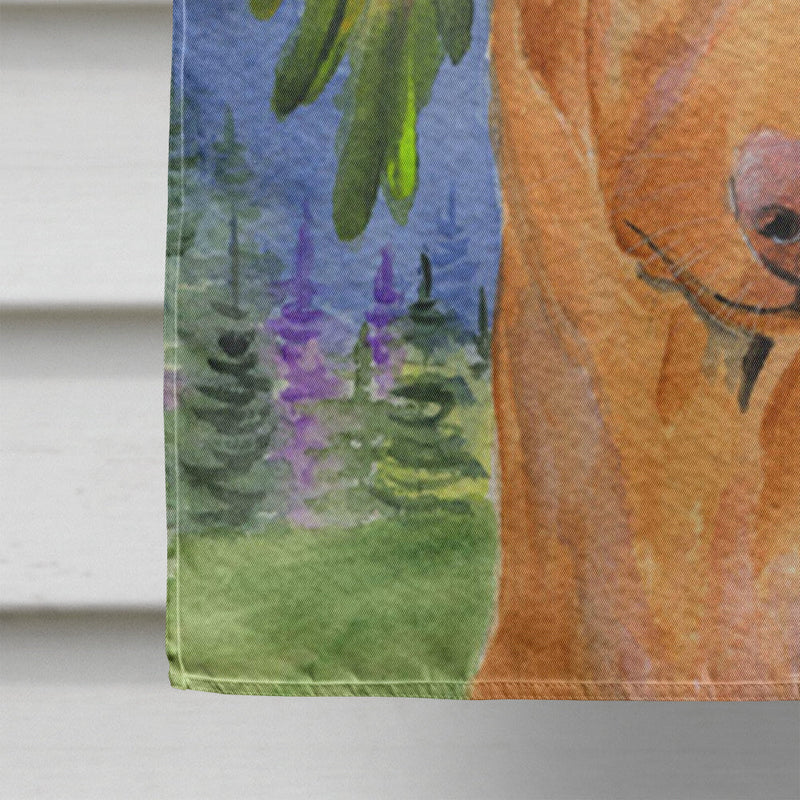 Pharaoh Hound Flag Canvas House Size