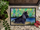 Scottish Terrier Doormat Indoor Outdoor 24H X 36W Front Door Mat Rugs for Entryway, Non Slip Washable Low Pile,