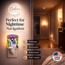 Schnauzer Ceramic Night Light Compact, UL-Certified, Ideal for Bedroom, Bathroom, Nursery, Hallway, Kitchen, 6x4x3, Multicolor