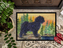Puli Doormat Indoor Outdoor 24H X 36W Front Door Mat Rugs for Entryway, Non Slip Washable Low Pile,