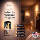 Starry Night Airedale Ceramic Night Light Compact, UL-Certified, Ideal for Bedroom, Bathroom, Nursery, Hallway, Kitchen, 6x4x3, Multicolor