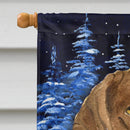 Starry Night Chesapeake Bay Retriever House Flag 28x40 Porch Sleeve Pole Decorative Outside Yard Banner Artwork Wall Hanging, Polyester