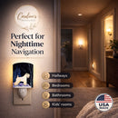 Starry Night Wheaten Terrier Soft Coated Ceramic Night Light Compact, UL-Certified, Ideal for Bedroom, Bathroom, Nursery, Hallway, Kitchen, 6x4x3, Multicolor