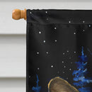 Starry Night Corgi House Flag 28x40 Porch Sleeve Pole Decorative Outside Yard Banner Artwork Wall Hanging, Polyester