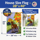 Chesapeake Bay Retriever House Flag 28x40 Porch Sleeve Pole Decorative Outside Yard Banner Artwork Wall Hanging, Polyester