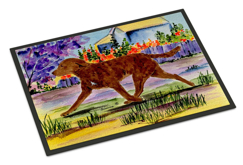 Chesapeake Bay Retriever Indoor Outdoor Mat 18x27 Doormat