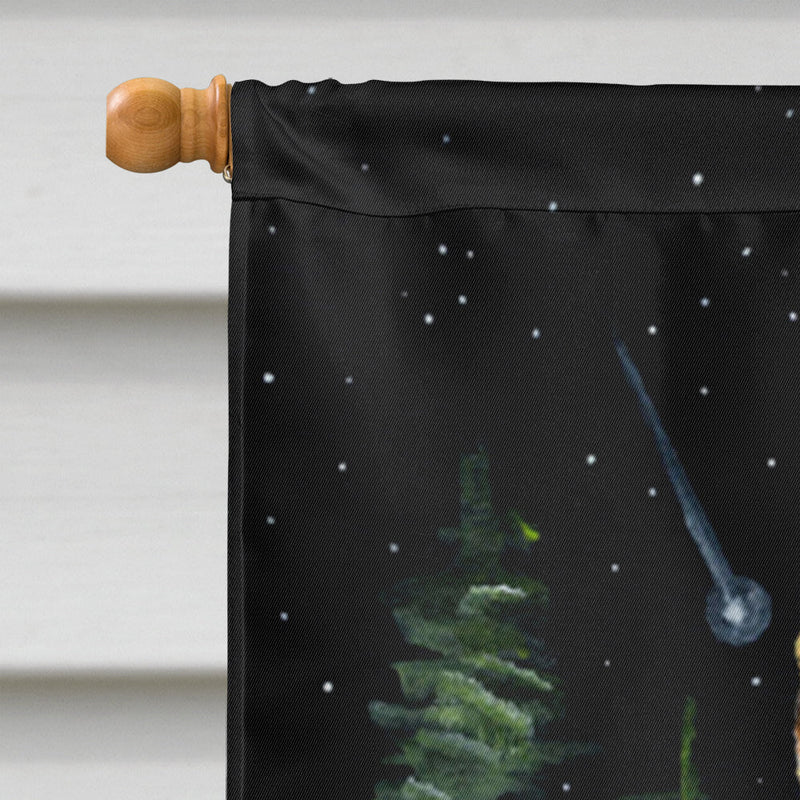 Starry Night Ibizan Hound Flag Canvas House Size