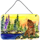 American Water Spaniel Indoor Aluminium Metal Wall or Door Hanging Prints