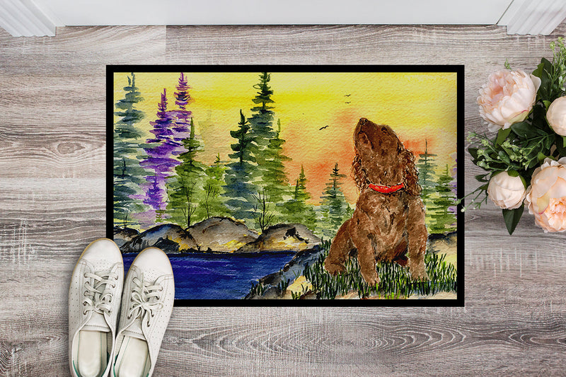 American Water Spaniel Doormat - 24x36 Decorative Floor Mat – Indoor/Outdoor Rug with Artistic Flair Doormat