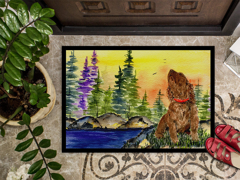 American Water Spaniel Doormat - 24x36 Decorative Floor Mat – Indoor/Outdoor Rug with Artistic Flair Doormat