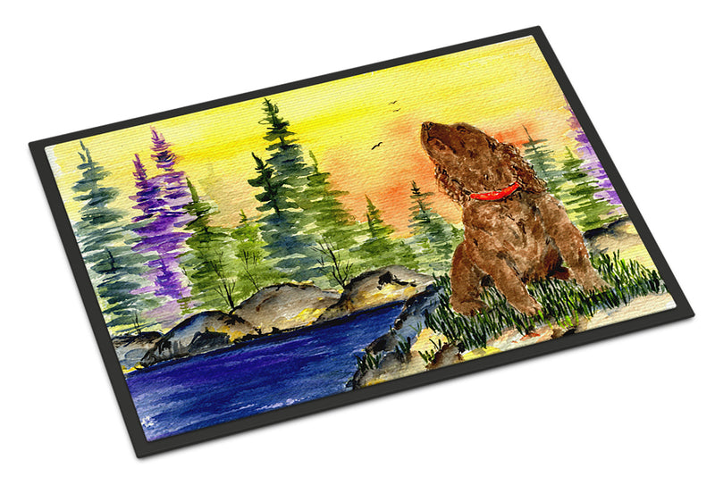 American Water Spaniel Doormat - 24x36 Decorative Floor Mat – Indoor/Outdoor Rug with Artistic Flair Doormat
